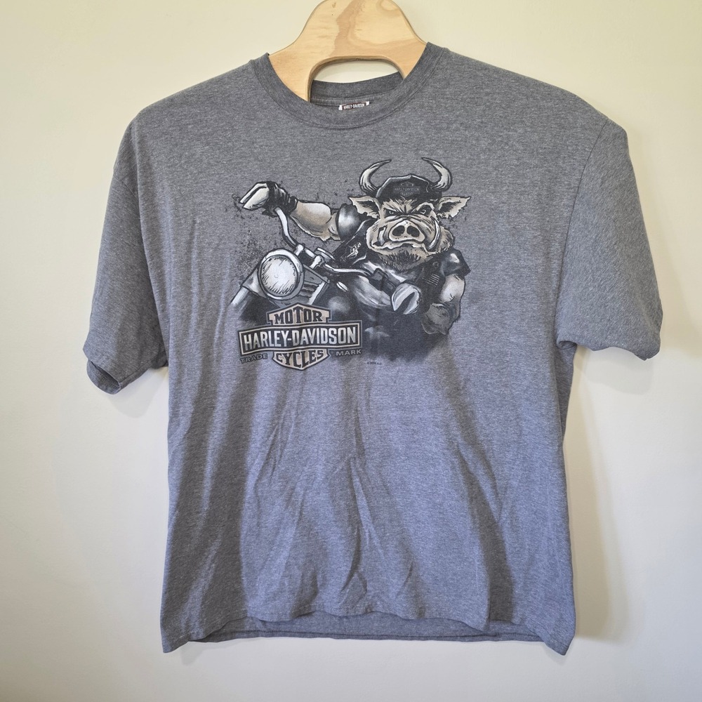 Harley-Davidson Graphic T-Shirt Mens 3XL Gray Biker Hog Perrysburg OH 2015 Tee